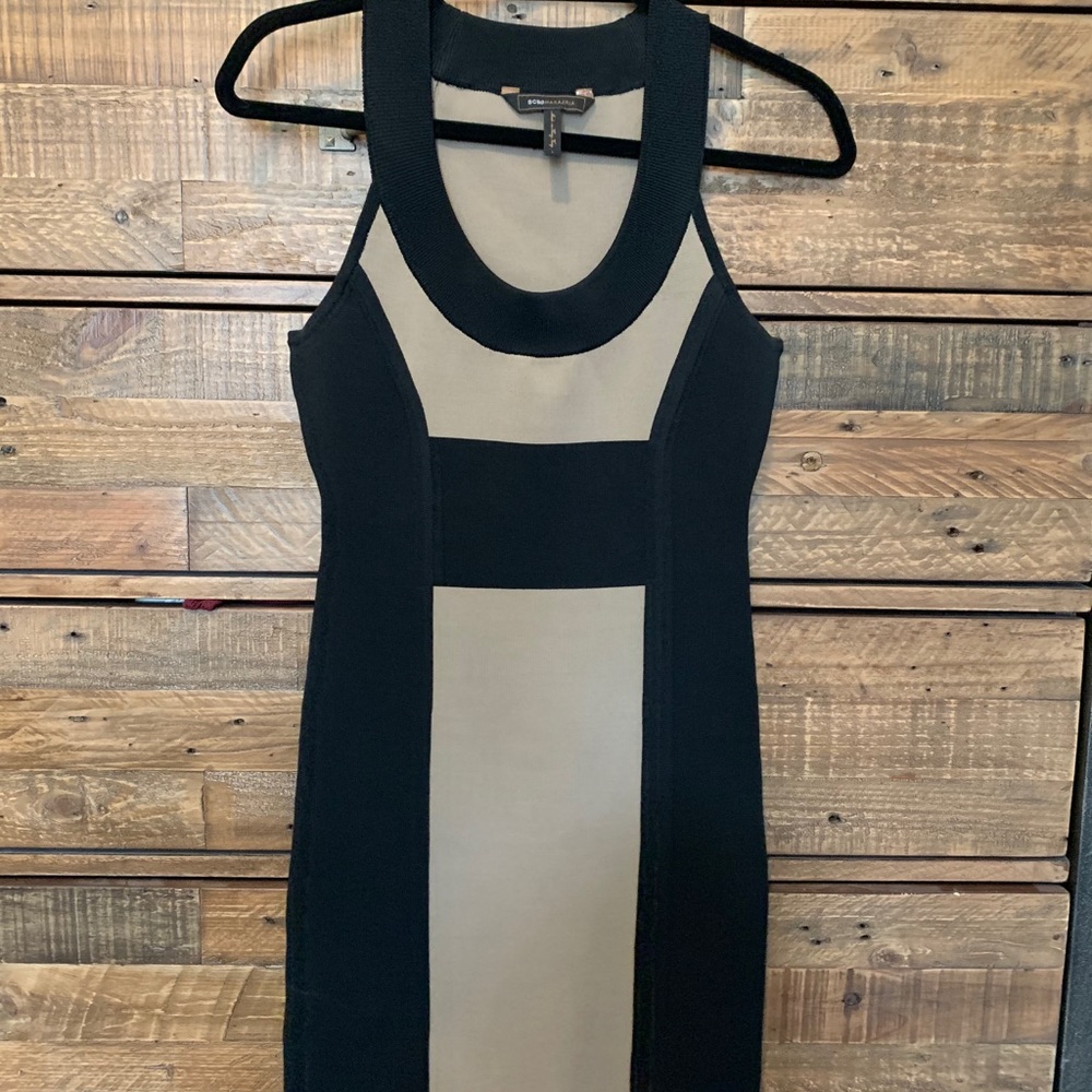 BCBG Bodycon Dress